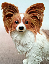 Large papillon dog for sale  Zion