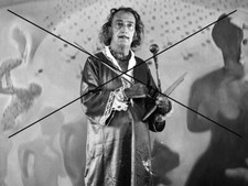 Photographie salvador dali d'occasion  Toulouse-
