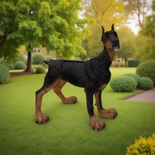 Breed apart doberman d'occasion  Expédié en Belgium