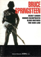 Bruce springsteen canzoniere usato  Angri