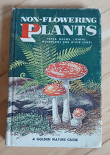 Usado, Non-Flowering Plants Golden Guide Nature Field Guide Book Vintage Hardcover comprar usado  Enviando para Brazil