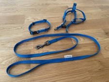 Great small blue for sale  SANDBACH