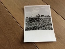 Farmall cub traktor gebraucht kaufen  Brandenburg-Umland