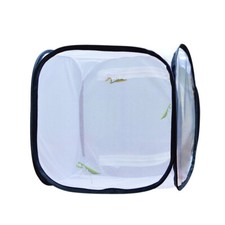 Foldable insect butterfly for sale  LICHFIELD