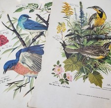 Vtg lot arthur for sale  Mountain Home