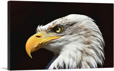 Artcanvas bald eagle for sale  Niles