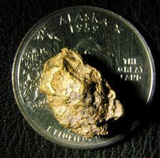 alaska gold nugget for sale  Chicken