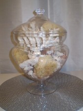 Vintage sea coral for sale  Palm Harbor