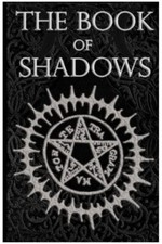 The book shadows gebraucht kaufen  Düsseldorf