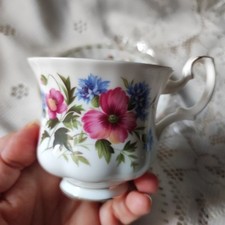 Tazza caffè royal usato  Ravenna