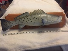 Speckled trout replica for sale  Marrero