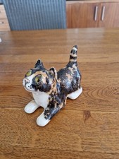 Winstanley cats tortoiseshell for sale  UK