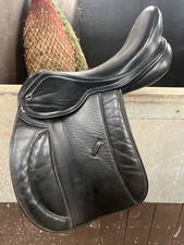 17.5 pony cob for sale  MIDDLESBROUGH