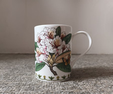 Queen fine bone for sale  HELSTON