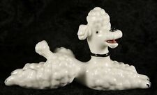 miniature toy poodles for sale  CAMELFORD
