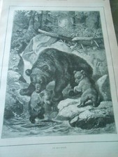 Gravure 1890 chasse d'occasion  Bourgoin-Jallieu