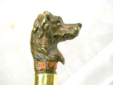 Canne dandy chien d'occasion  Équeurdreville-Hainneville