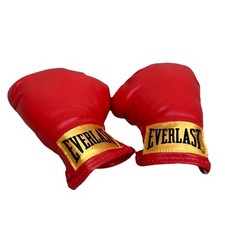 Everlast laceless training for sale  Williamston