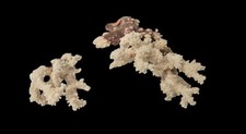 Beautiful pieces genuine for sale  Smyrna
