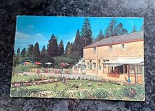 Old postcard tropical for sale  RADSTOCK