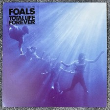 Foals total life for sale  SALTBURN-BY-THE-SEA