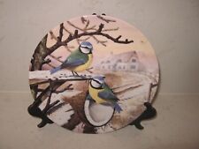 Bluetit bird plate for sale  WELLINGBOROUGH