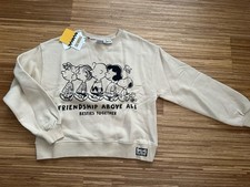 Süßer sweater zara gebraucht kaufen  Aurachtal