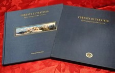 Foresta tarvisio. ogni usato  Roma