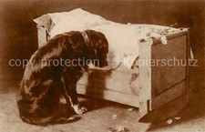 Hunde hund kinderbettchen gebraucht kaufen  Deutschland