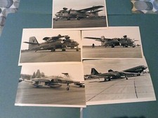 Copyright photo dutch for sale  LONDON
