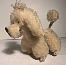 miniature poodle for sale miniature poodle for sale Bethesda