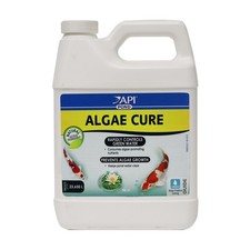 Api pond algae for sale  SWANSEA
