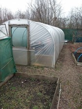 polytunnel for sale polytunnel for sale MANCHESTER