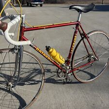 Batavus criterium racing for sale  Tecumseh
