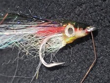 Pinhead anchovy size for sale  Boulder
