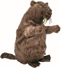 35918 beaver peluche usato  Roma