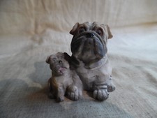Cute mom pup for sale  Oakland