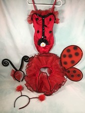 Ladybug lady bug for sale  Schwenksville