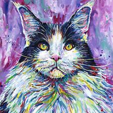 Maine coon cat for sale  Bronston
