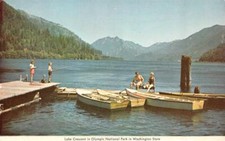 Washington lake crescent for sale  Surprise