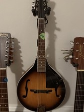 Savannah 100 mandolin for sale  Rock Hill