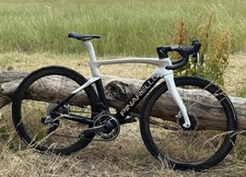 Pinarello dogma road for sale  LONDON