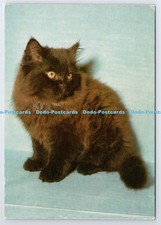 D338311 cat. grafiche for sale  WARLINGHAM