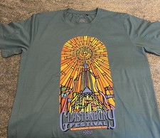 Genuine glastonbury festival for sale  DUMFRIES