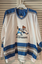 Vintage phoenix roadrunners for sale  Berkley