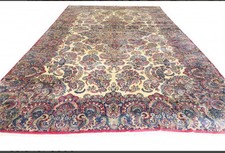 Massive quality persian for sale  Fallbrook
