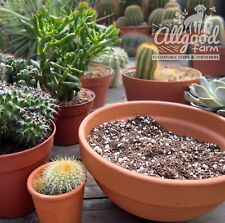 Premium cactus succulent for sale  HUDDERSFIELD