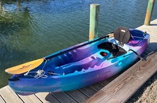 Perception tribe kayak for sale  Swansboro