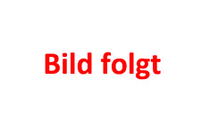 Remeha dietrich s101456 gebraucht kaufen  Erligheim