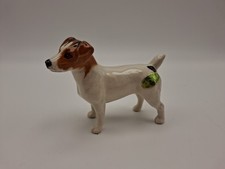 Jack russell terrier for sale  WAKEFIELD